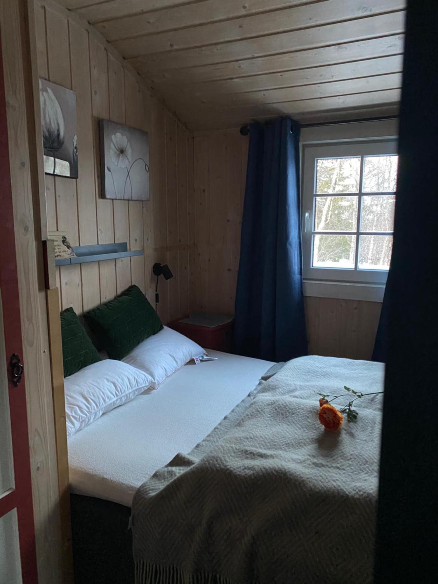 Cabin In The Mountain, Outstanding View & Solar Energy Slidre Exterior photo